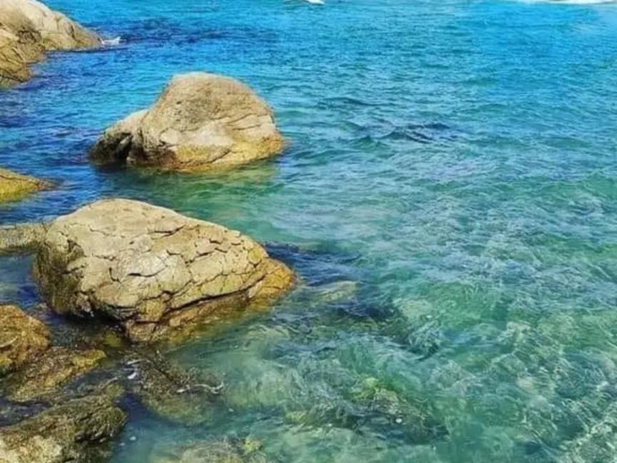 Apartamento Na Praia Da Enseada, 100 Mt Praia Sao Francisco do Sul Eksteriør billede